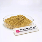 Keep In A Cool Dry Place Hericium Erinaceus Extract In Capsules