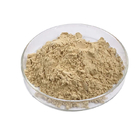 Anti Inflammatory Natural Ginseng Extract Powder 5% Moisture Form Powder