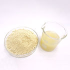 Cell Wall Broken Pine Pollen Powder 100% Purity Sample Available