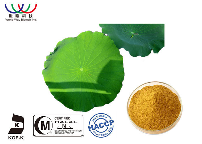 Weight Loss Pure Herbal Extracts , Lotus Leaf Extract Powder For