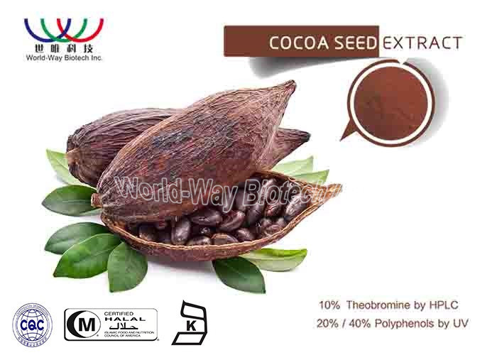 Food Ingredients Pure Plant Extract Theobroma Cacao Powder With