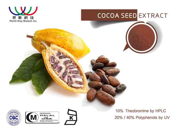 Water Soluble Cocoa Extract Powder , Polyphenols Cocoa Bean Extract For