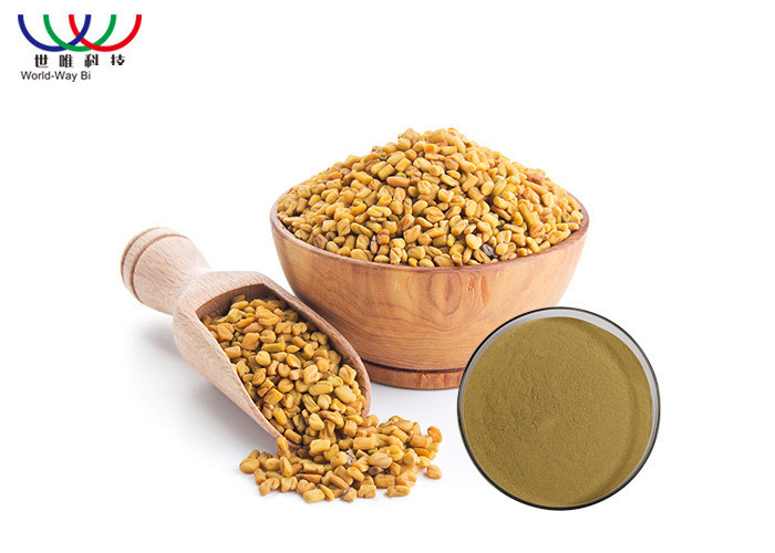 Testofen Fenugreek Extract For Diabetes , 50 Furostanol Saponin