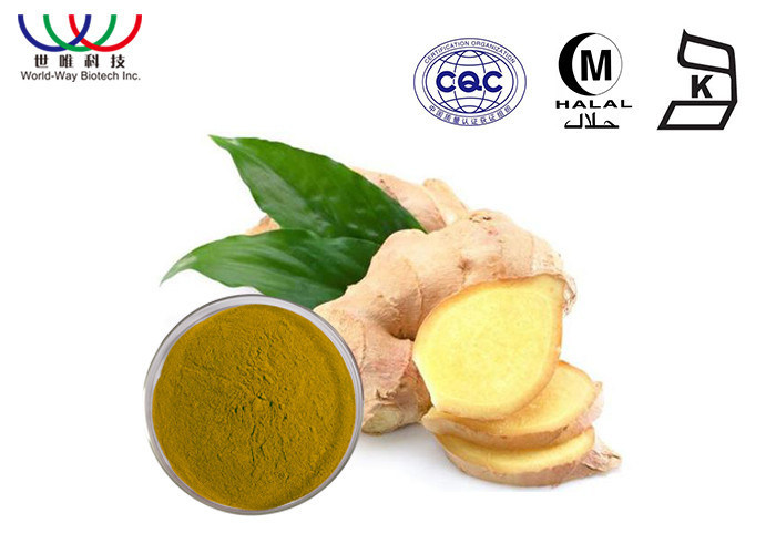 Food Grade Pure Ginger Extract , Organic Ginger Extract For Digestive