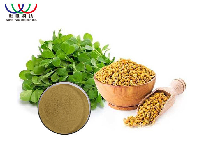Pure Fenugreek Extract Powder 20 4 Hydroxy Isoleucine