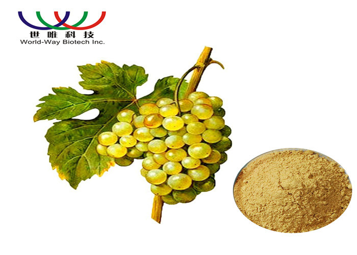 Good Grade Vitis Vinifera Extract Powder , 100 Natural Resveratrol Red