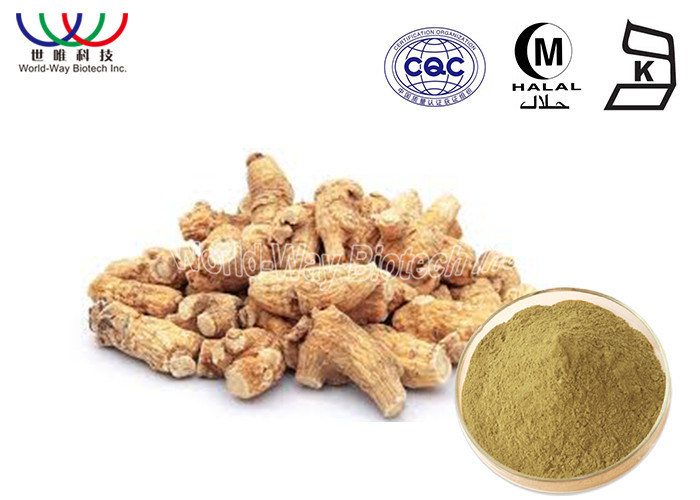 Anti Cancer Asian Ginseng Extract , Ginseng Extract Powder Lowers