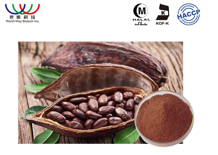 Solvent Extraction Cocoa Bean Extract Theobroma Raw Organic Cocao Powder