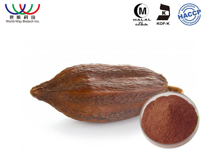 40 Polyphenols Cocoa Bean Extract Natural Cocoa Powder Pharmaceutical