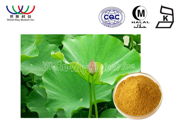 Health Care Lotus Herbal Products , Organic Herbal Extracts Powder Food