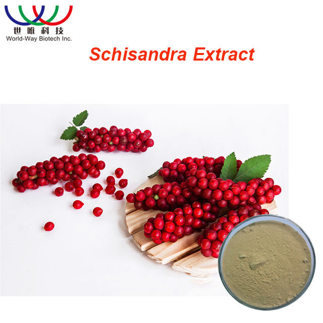 Healthy Schisandra Berry Powder , Schizandra Chinensis Fruit Extract