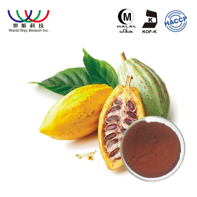 Cocoa Seed Theobromine Pure Plant Extract 40 Polyphenol Dark Brown Powder