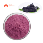 Food Grade Natural Mulberry Fruit Powder For Weight Loss