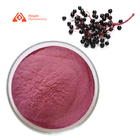 Organic Antioxidants Elderberry Fruit Powder Food Grade