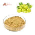 Natural Organic Amla Gooseberry Extract Powder Food Grade