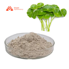 10% - 90% Asiaticoside Centella Asiatica Extract Gotu Kola Powder For Skin