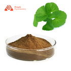 Cosmetic Grade Scar Removal Centella Asiatica Gotu Kola Extract Powder 10:1 TLC