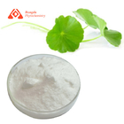 Pure Natural Gotu Kola Extract Powder Centella Asiatica Madecassoside 90%