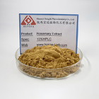 Rosemary Extract Natural Anti Oxidant Ingredients Rosmarinic Acid Powder