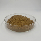 Pure Organic Sage Salvia Officinalis Extract Powder Natural Antioxidant