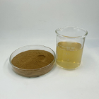 Pure Natural Anti Oxidant Ingredients Cinnamon Bark Extract Fine Powder