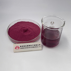 Natural Anti Oxidant Ingredients Blueberry Extract 25% Anthocyanin Powder