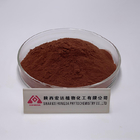 Food Grade Anti Oxidant Ingredients Natural Grape Seed Extract 95% Anthocyanin Powder