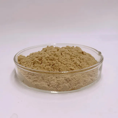 Anti Inflammatory Lion Mane Extract Improve Digestive System Functionality