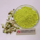 Bulk Sophora Japonica Extract 98% Troxerutin Powder 7085-55-4