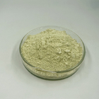 Bulk Luteolin Extract Powder 98% Food Grade Luteolin