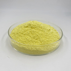 Sophora Japonica Extract 98% Kaempferol Powder CAS 520-18-3