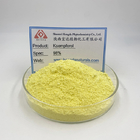 Sophora Japonica Extract 98% Kaempferol Powder CAS 520-18-3