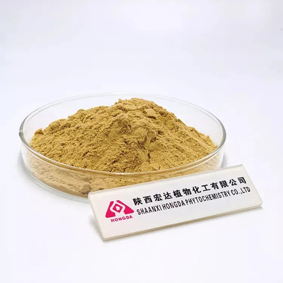 Natural 30% Hericium Erinaceus Extract Capsules From HONGDA