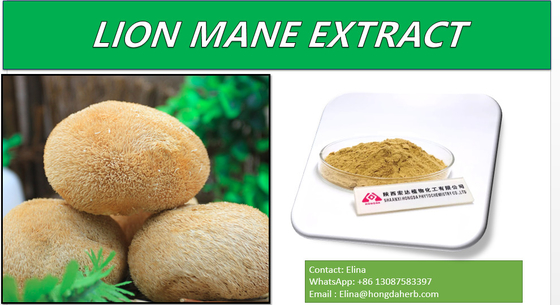 30% Specification Natural Hericium Erinaceus Extract Storage Keep In A Cool