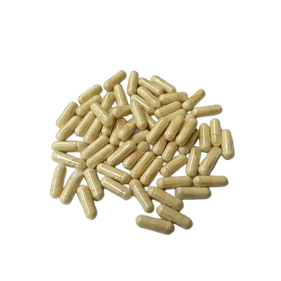 Natural 30% Hericium Erinaceus Extract Capsules From HONGDA