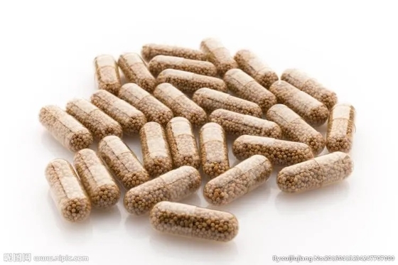 Natural 30% Hericium Erinaceus Extract Capsules From HONGDA