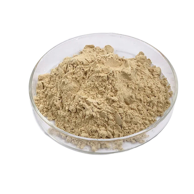 Pure Herbal Ginseng Extract Powder With Ginsenosides Natural Smell