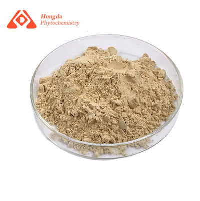 Dry Cool Place Stored Ginseng Extract Powder Natural Form For B2B Use