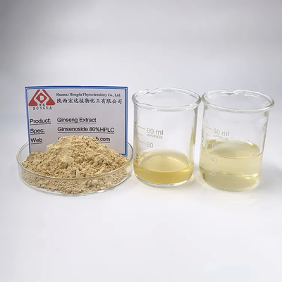 Healthy Natural Organic Ginseng Extract Powder With Ash ≤5% For Sale