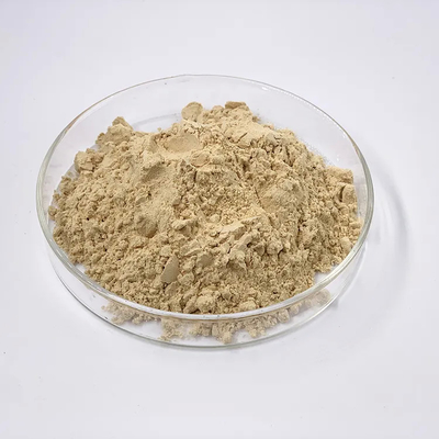 Anti Oxidation Natural Pure Ginseng Extract Powder Yello Brown Dry Cool Place Storage