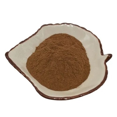 Lion Mane Extract Powder For Weak Digestion 24 Months Shelf Life