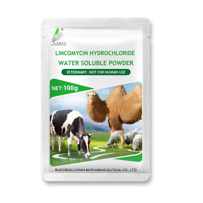 LINCOMYCIN HYDROCHLORIDE WATER SOLUBLE POWDER