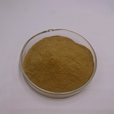 Spine Date Seed Extract Powder Saponins Of Jujube Kernel 2%-10% (UV)  0.3%-10% (HPLC)