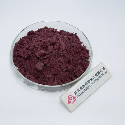 Pure Plant Blueberry Extract 25% Anthocyanin Powder For Food Grade