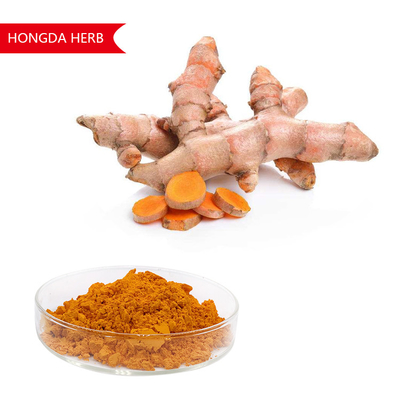 Pure Plant Extract Curcuma Longa Powder 95% HPLC Antioxidant And Anti Inflammatory