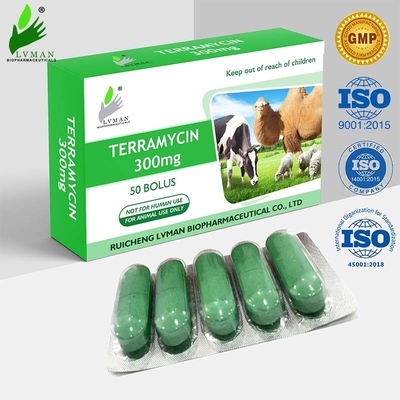 Antibacterial Veterinary Drug Florfenicol Injection For Cattle Sheep Goat