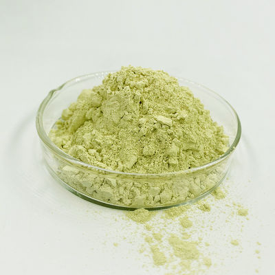 Cas 117-39-5 98% Sophora Japonica Extract Powder Yellow Color