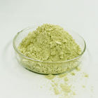 95% Green Yellow Quercetin Powder CAS 117-39-5 Sophora Japonica Extract