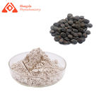 CAS 56-69-9 Griffonia Seed Powder , Hydroxytryptophan 5 HTP For Sleep