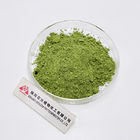 Organic Green Tea Matcha Powder Private Label Ceremonial Grade Matcha